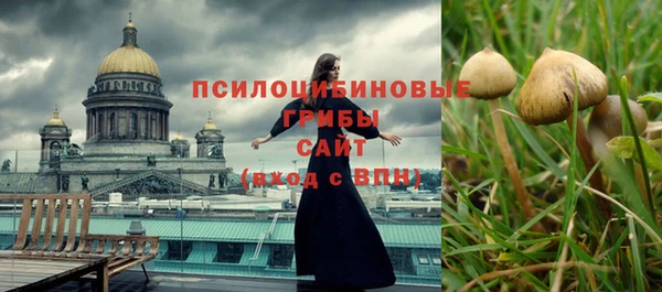 дурь Абдулино