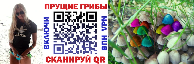 Галлюциногенные грибы мухоморы  МЕГА   Новое Девяткино 