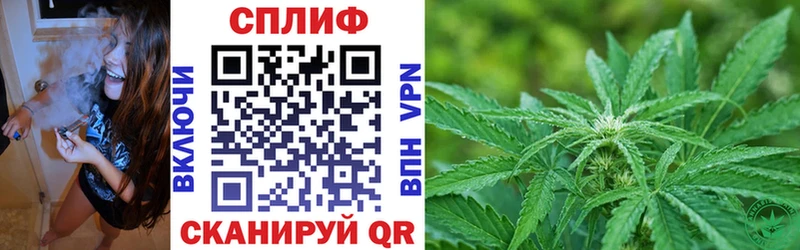 Конопля ГИДРОПОН Новое Девяткино